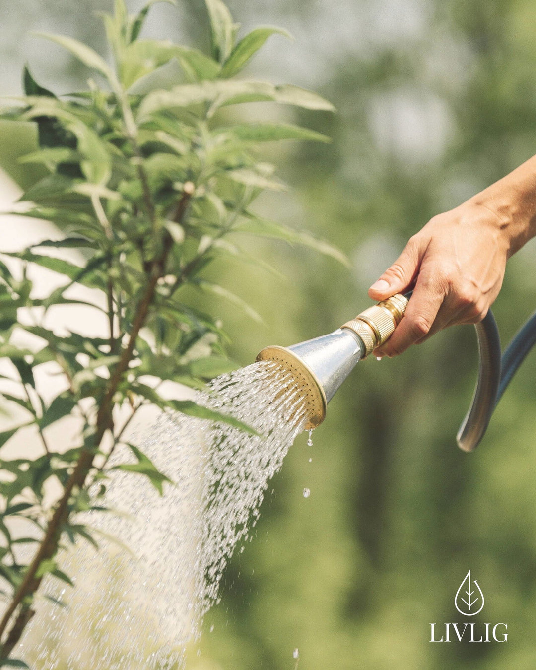 Bloomy Flower Shower Nozzle -  - livlig.us