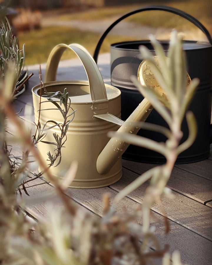 Metal Watering Can 1.3 Gal