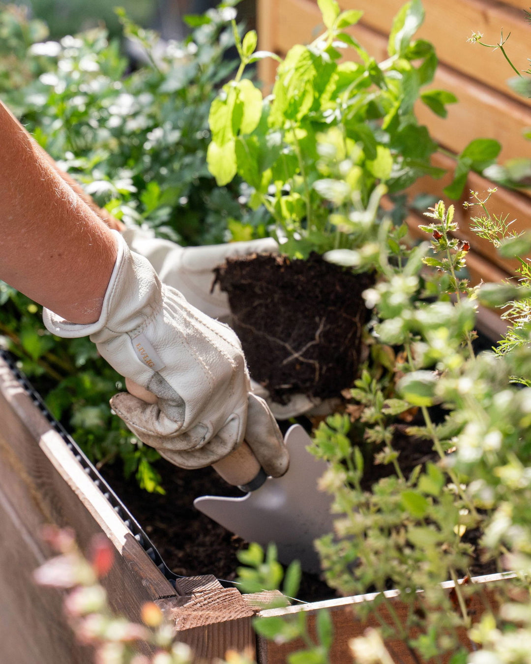 Leather Garden Gloves -  - livlig.us