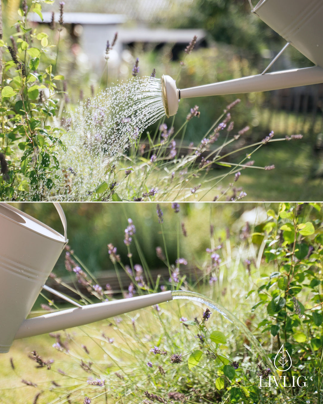 Metal Watering Can 1.3 Gal