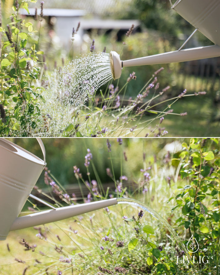 Metal Watering Can 1.3 Gal